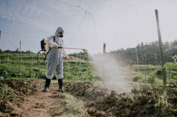 Best Local Pest Control Services  in Mountain View Acres, CA