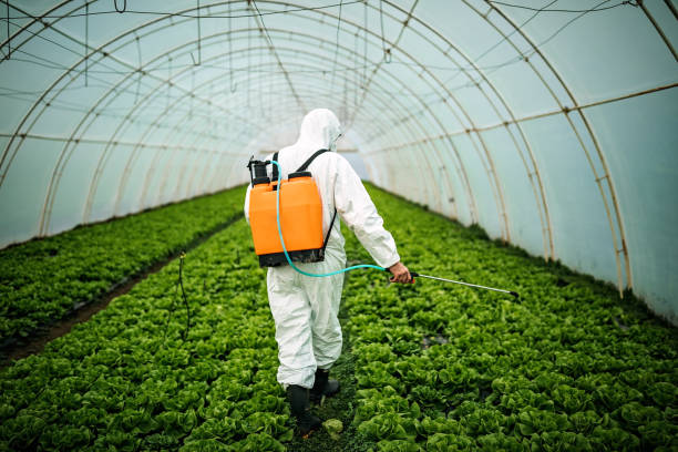 Best Mosquito Control Services  in Mountain View Acres, CA
