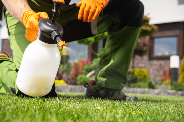 Best Rat Extermination Near Me  in Mountain View Acres, CA