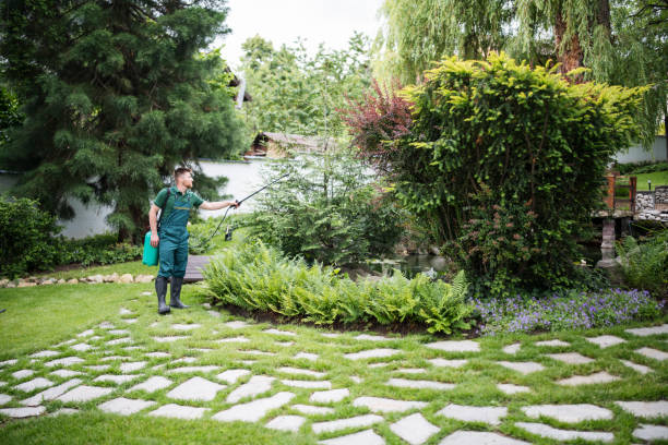 Best Affordable Pest Control Services  in Mountain View Acres, CA